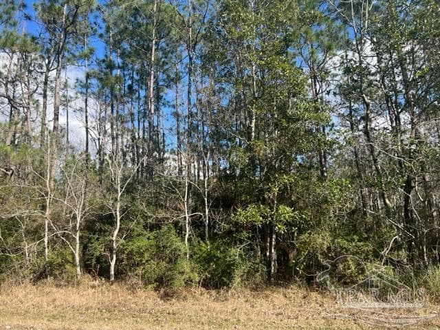 7-A Buffler Dr