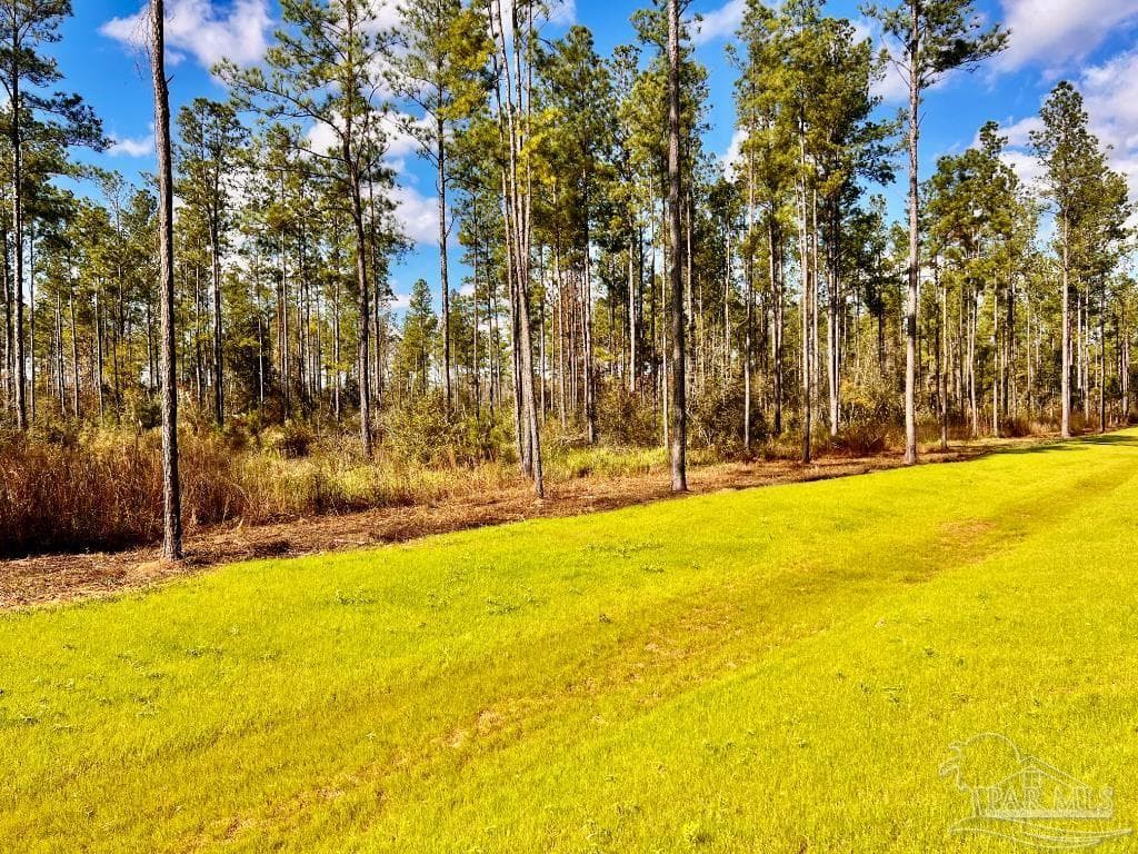 Lot 5 Denali Rd