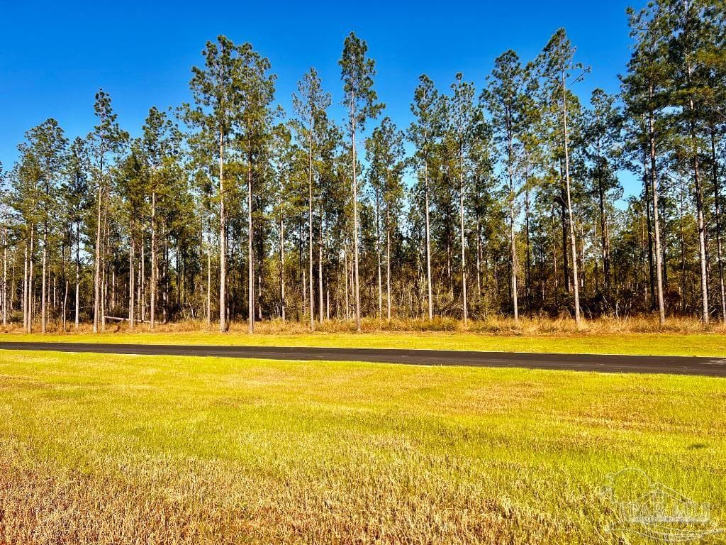 Lot 12 Denali Rd