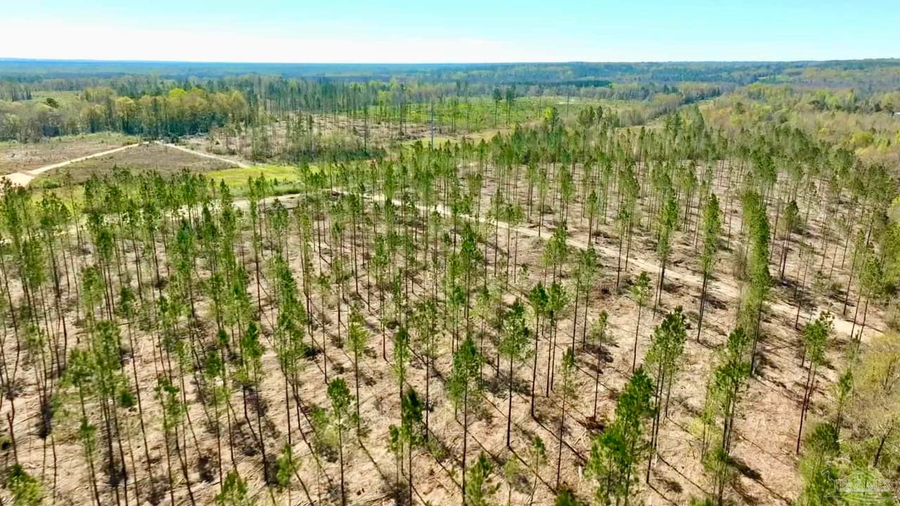 Lot 15-C Hwy 29