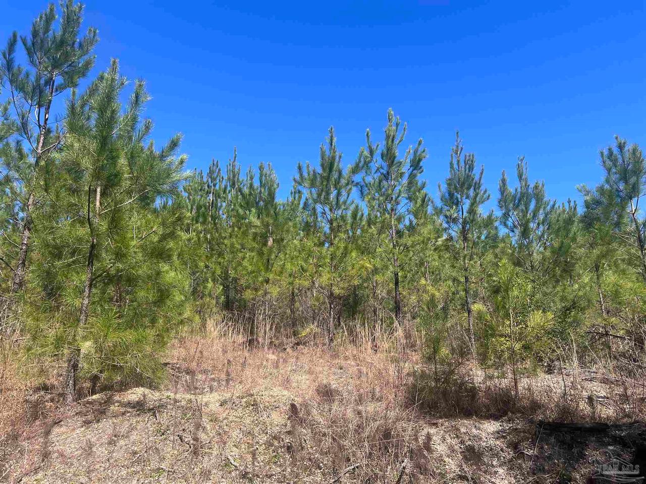 7 Robinsonville Rd