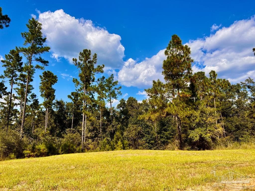 Lot 4 Morgans Branch