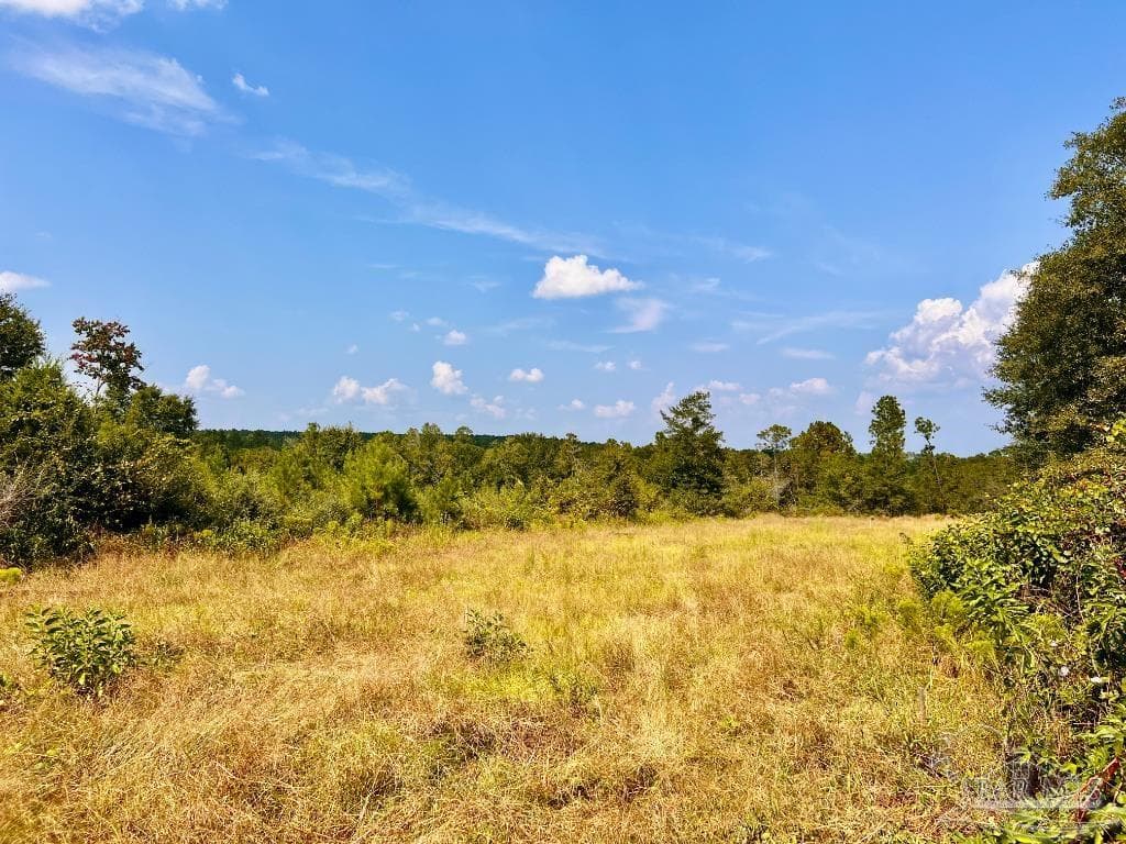 Lot 16 Morgans Branch