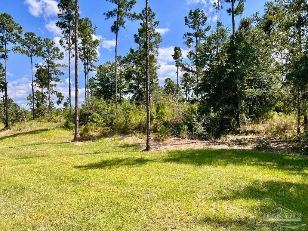 Lot 33 Morgans Branch