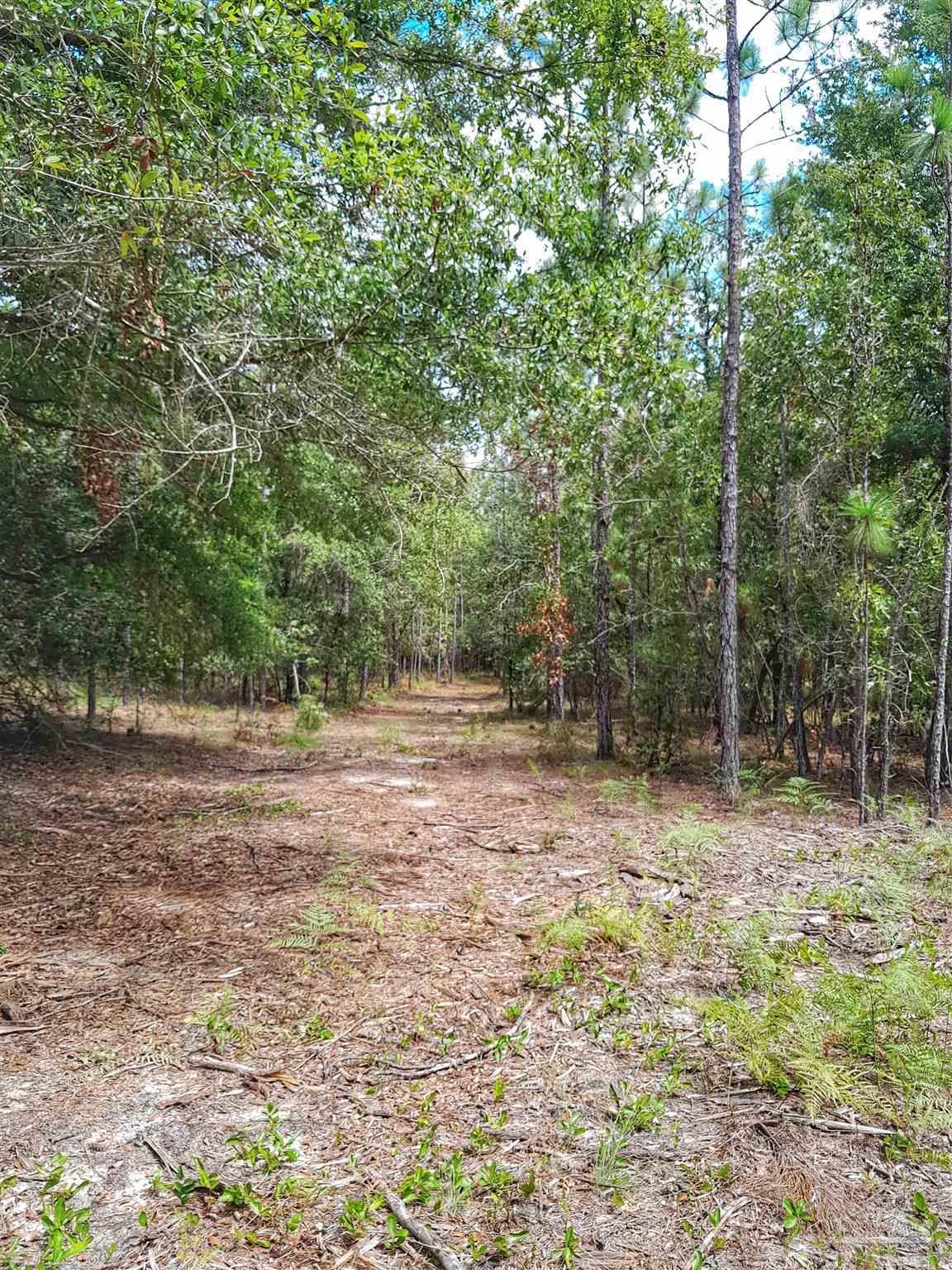 Parcel B-2 Wildlife Rd