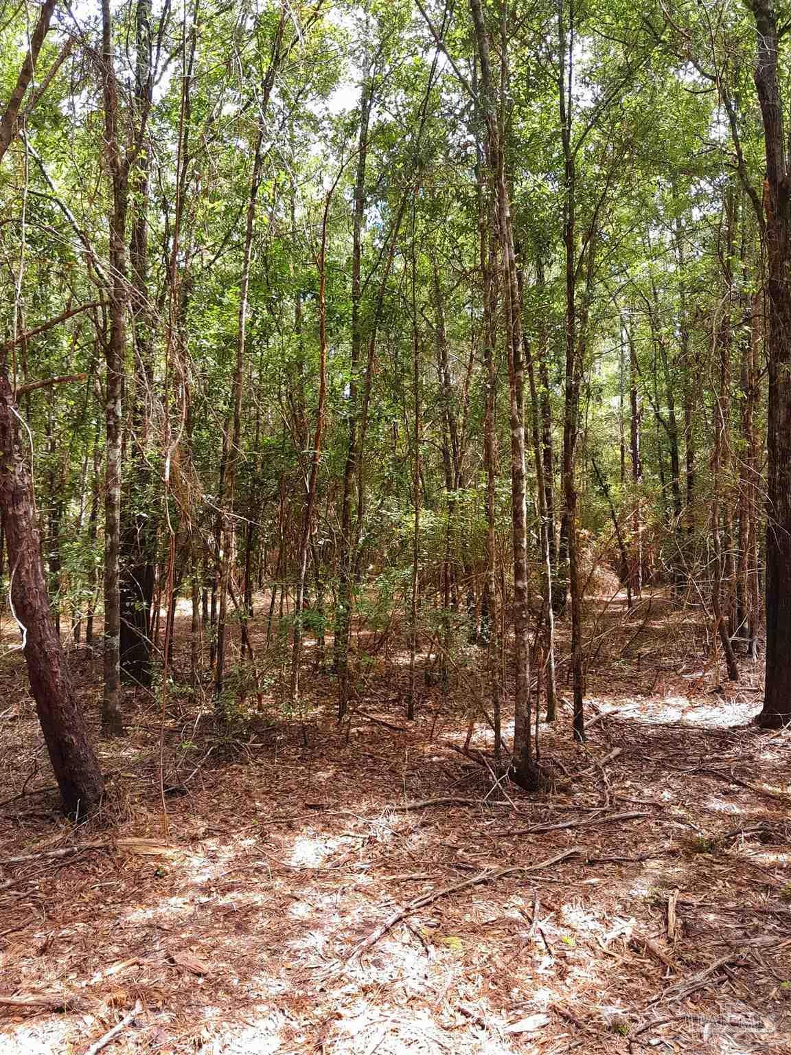 Parcel C-2 Wildlife Rd
