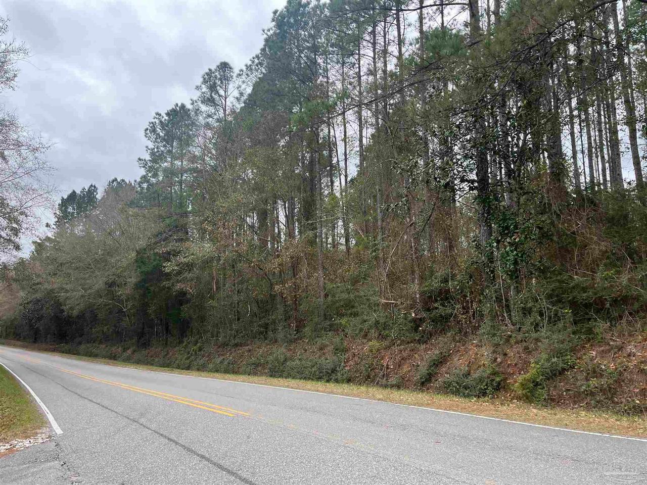 3000 Block Pine Barren Rd