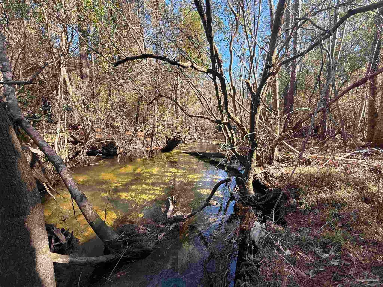 Lot 22 Creek Bluff Dr