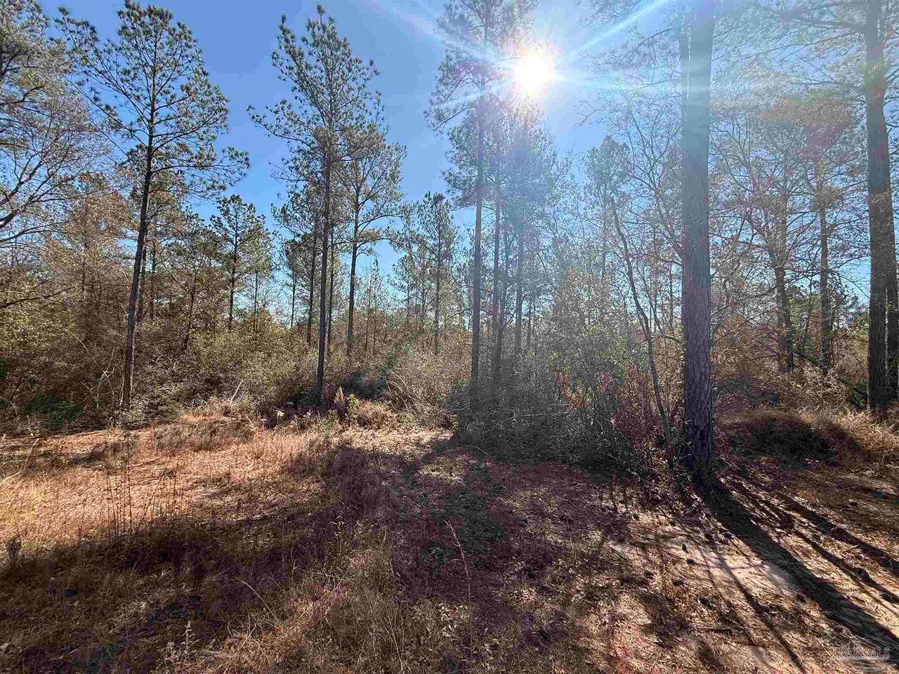 Lot 3 Creek Bluff Dr