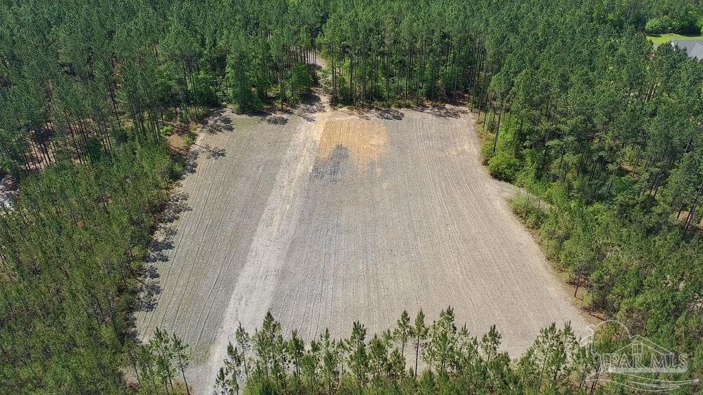 11.42 Acres Edge Forest Way
