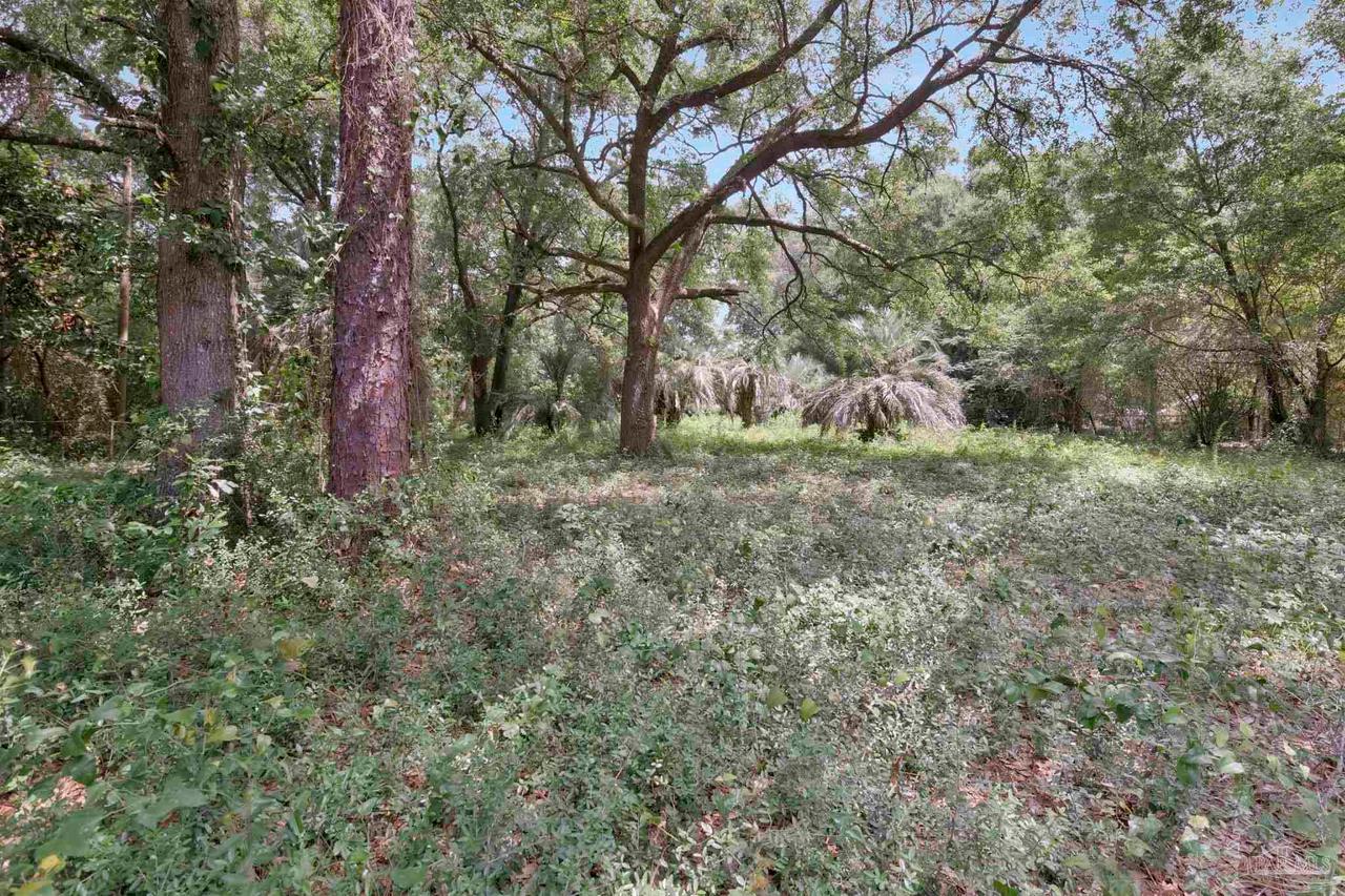 1512 Burgess Rd