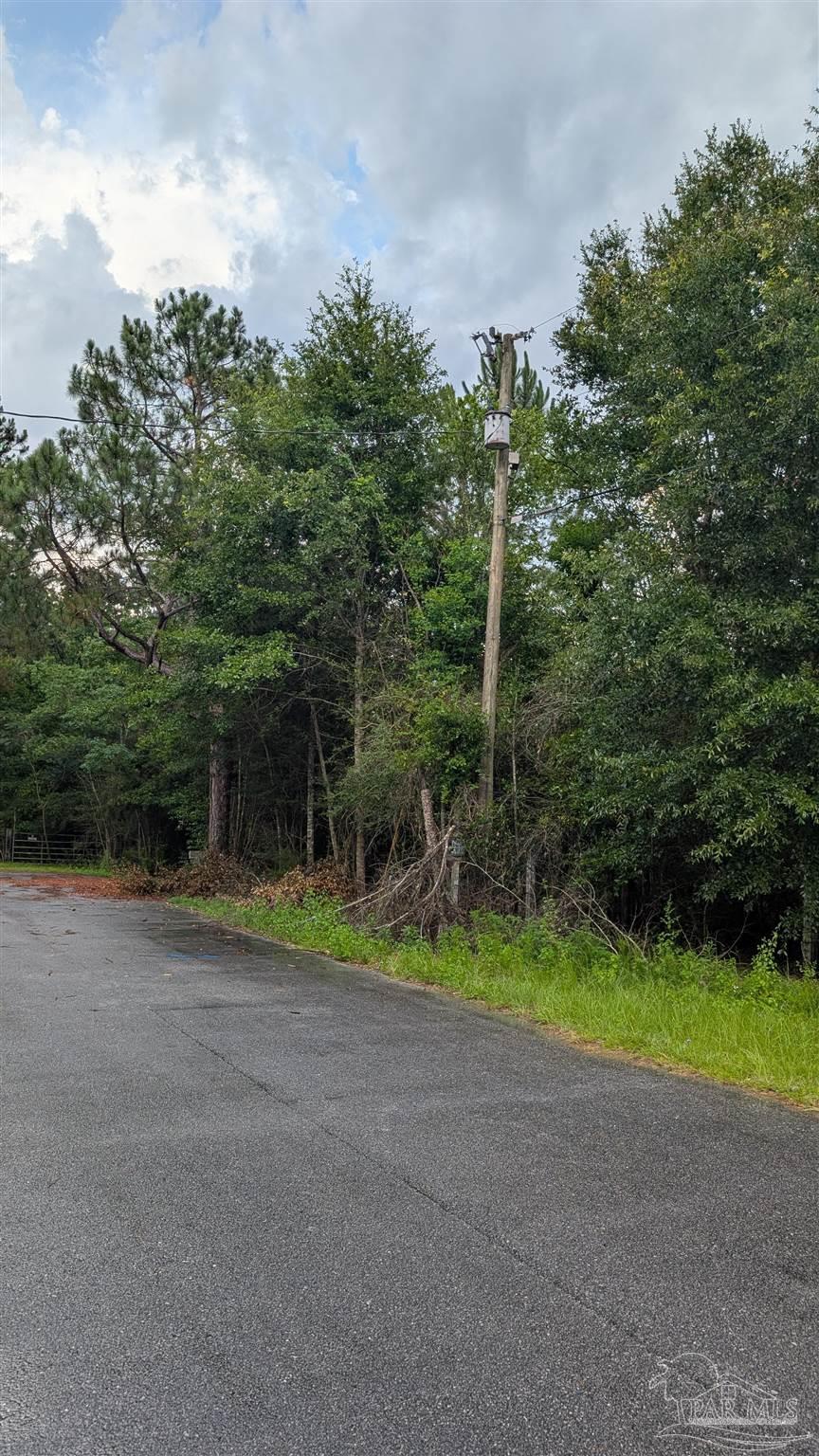 9791 Domino Rd
