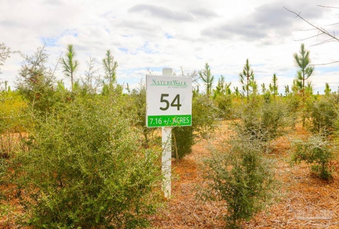 Lot 54 South Timber Ln