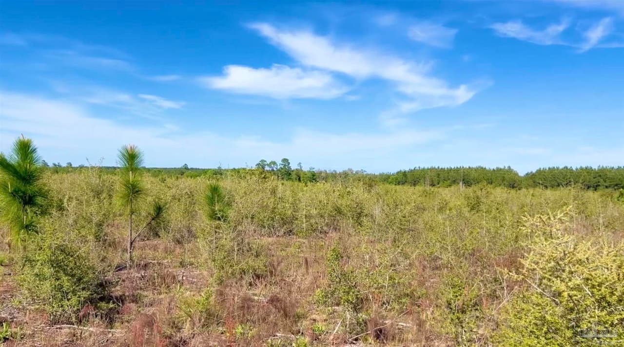 Lot 58 South Timber Ln