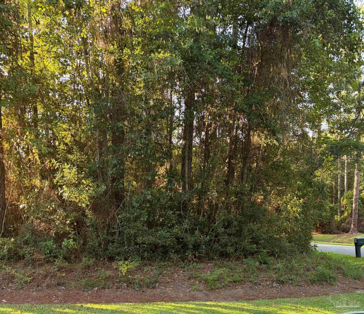 301 Deerfoot Ln
