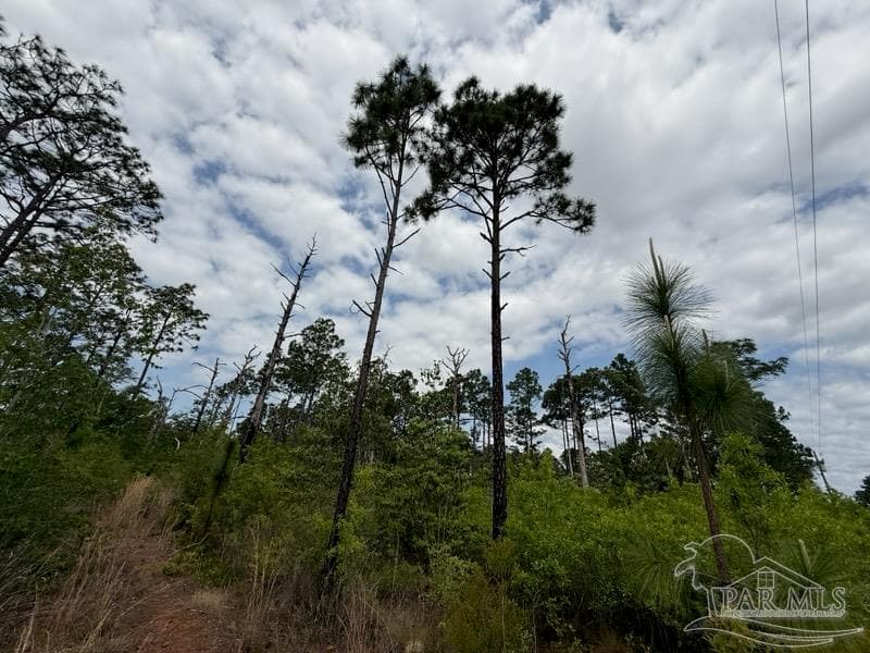 6589-1 Aegean Dr