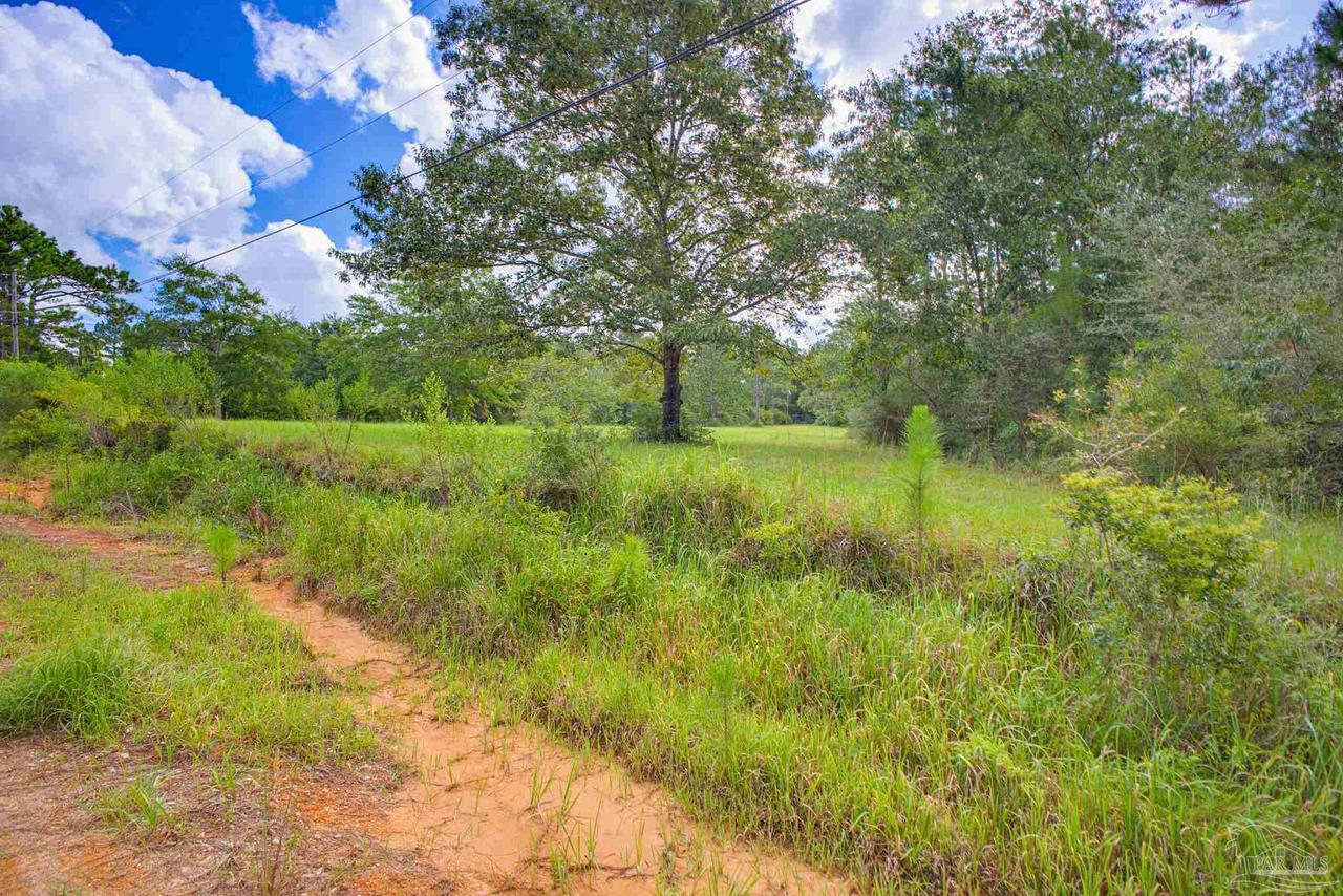 9550 Magnolia Springs Rd