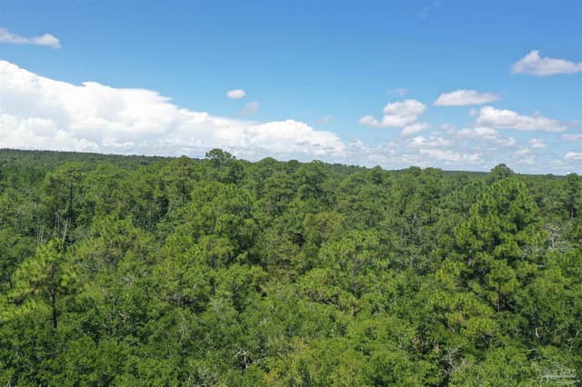Hamilton Bridge Rd, Milton FL 32570 photo 27