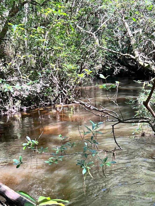 Hamilton Bridge Rd, Milton FL 32570 photo 13