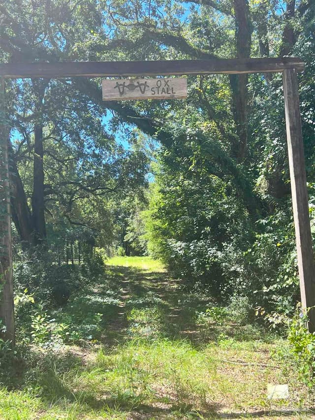 Hamilton Bridge Rd, Milton FL 32570 photo 17