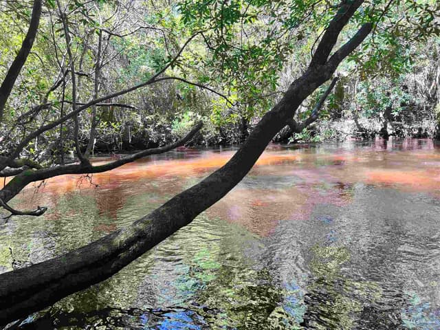 Hamilton Bridge Rd, Milton FL 32570 photo 7