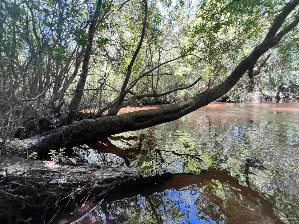 Hamilton Bridge Rd, Milton FL 32570 photo 1