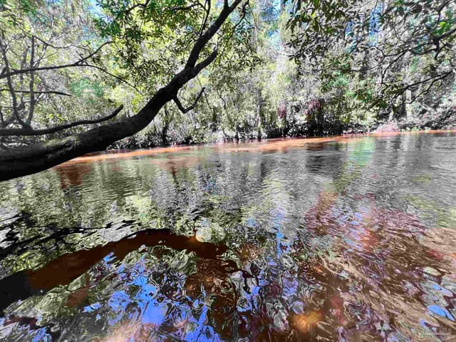 Hamilton Bridge Rd, Milton FL 32570 photo 9
