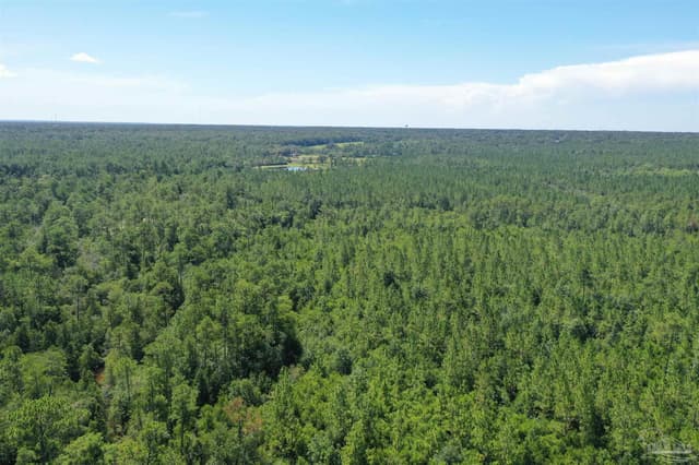 Hamilton Bridge Rd, Milton FL 32570 photo 24