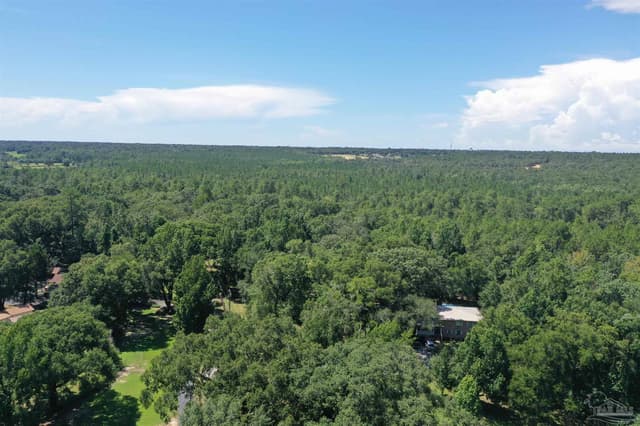 Hamilton Bridge Rd, Milton FL 32570 photo 33