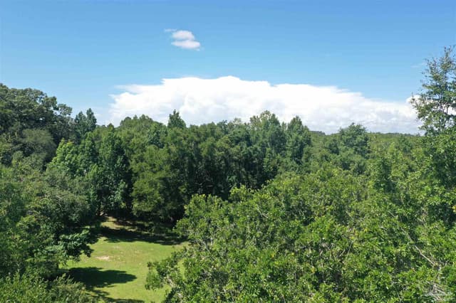 Hamilton Bridge Rd, Milton FL 32570 photo 19