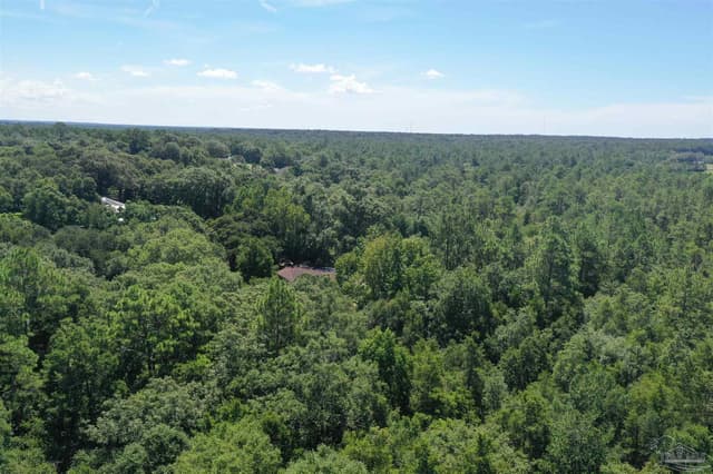 Hamilton Bridge Rd, Milton FL 32570 photo 29