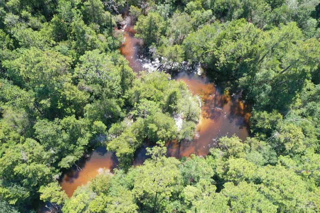 Hamilton Bridge Rd, Milton FL 32570 photo 25