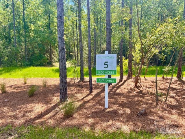 Lot 5 Creekdown Ln, Pace FL 32571 photo 10
