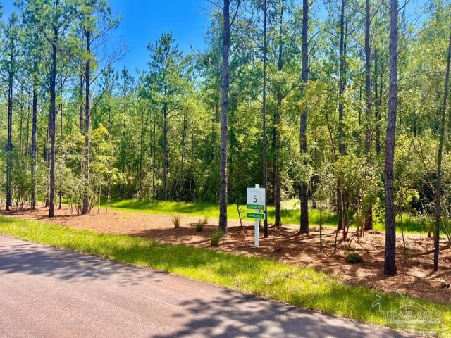 Lot 5 Creekdown Ln, Pace FL 32571 photo 11