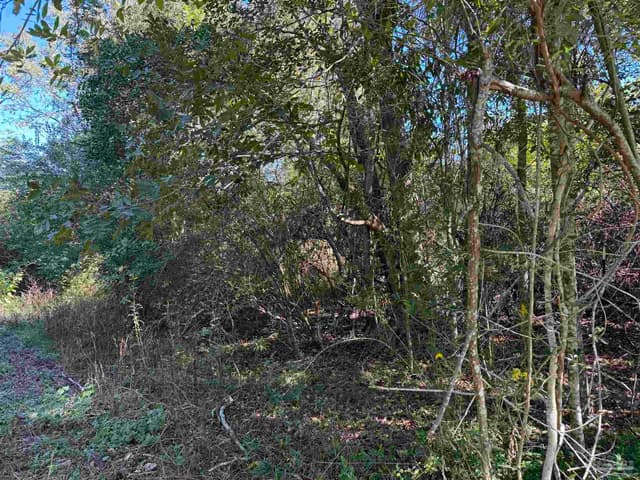 0 Pleasant Hill Rd, Century FL 32535 photo 6