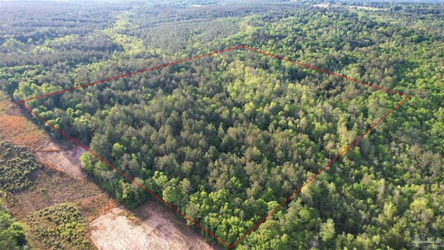 0 Pleasant Hill Rd, Century FL 32535 photo 9