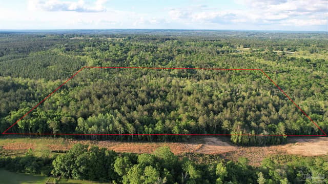 0 Pleasant Hill Rd, Century FL 32535 photo 10