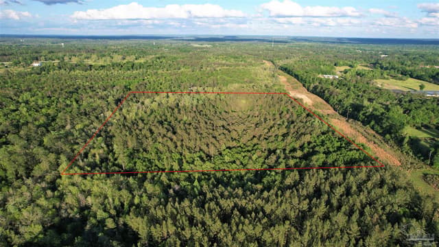 0 Pleasant Hill Rd, Century FL 32535 photo 11