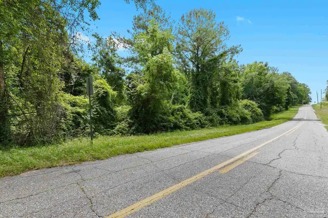 0 Pine Forest Rd property photo