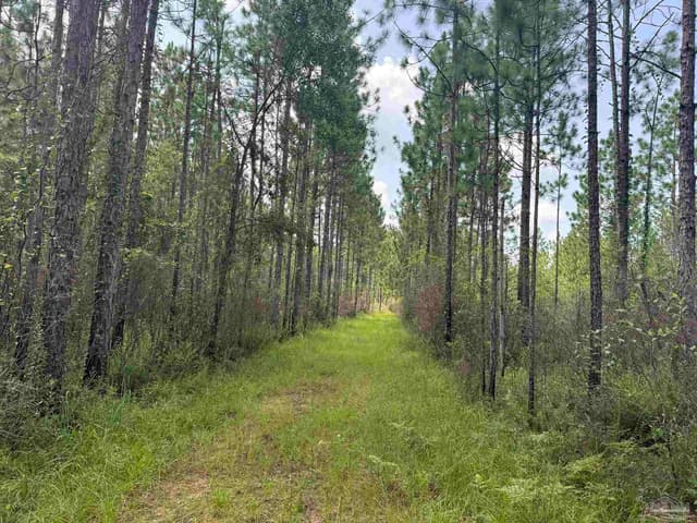 0 Nokomis Rd, Walnut Hill FL 32568 photo 27