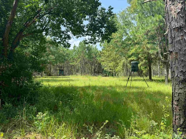 0 Nokomis Rd property photo