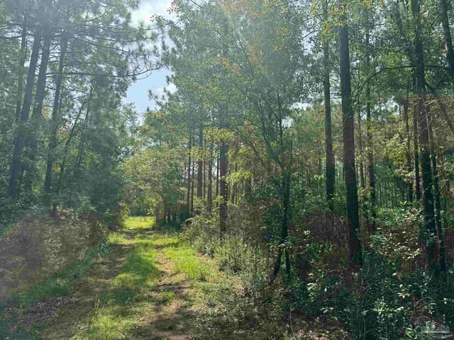 0 Nokomis Rd, Walnut Hill FL 32568 photo 6