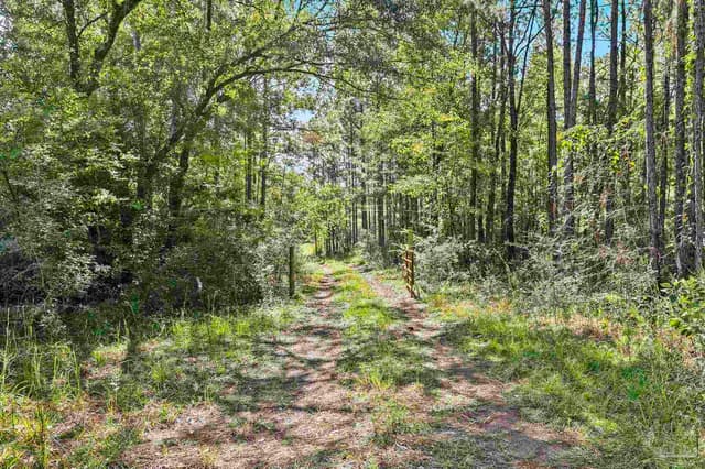 0 Nokomis Rd, Walnut Hill FL 32568 photo 13