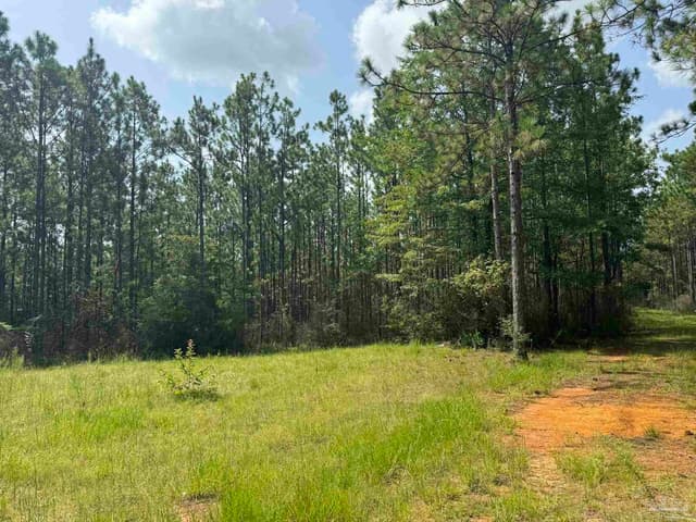 0 Nokomis Rd, Walnut Hill FL 32568 photo 17