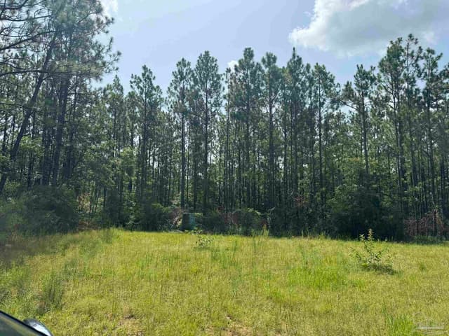 0 Nokomis Rd, Walnut Hill FL 32568 photo 16