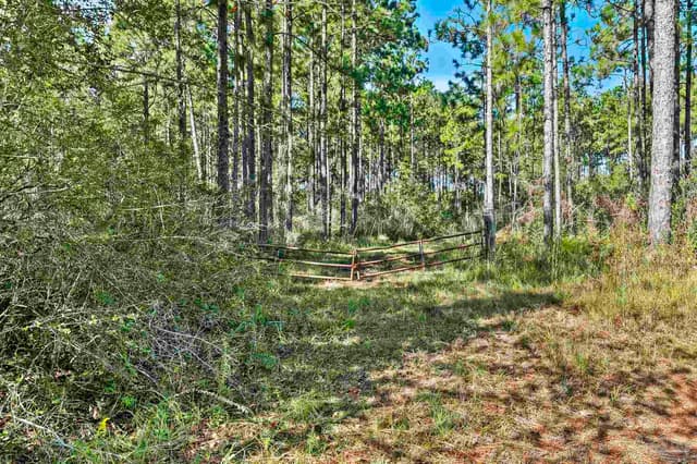 0 Nokomis Rd, Walnut Hill FL 32568 photo 12