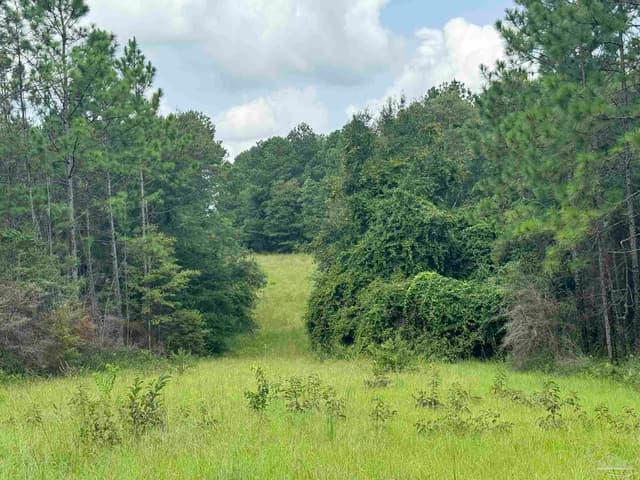 0 Nokomis Rd, Walnut Hill FL 32568 photo 26