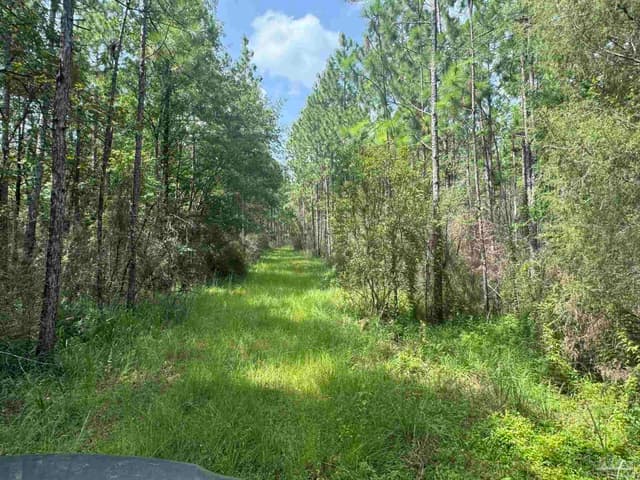 0 Nokomis Rd, Walnut Hill FL 32568 photo 28