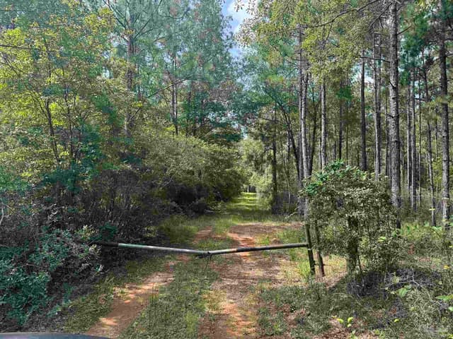 0 Nokomis Rd property photo