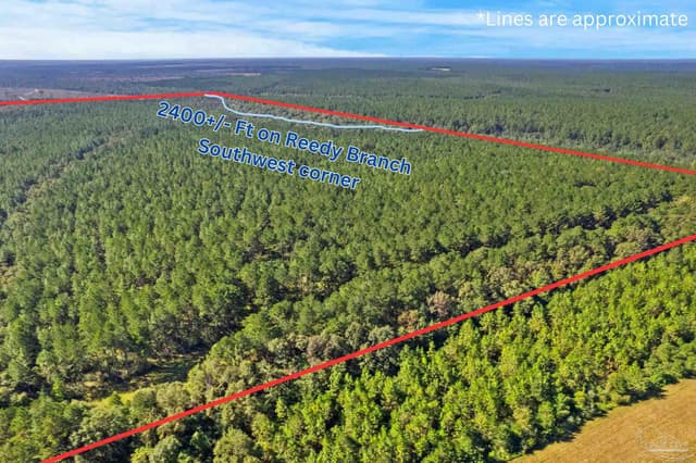 0 Nokomis Rd, Walnut Hill FL 32568 photo 9